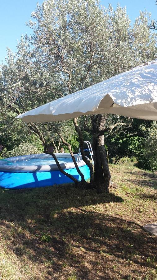 ויטרבו Il Casale Alle Farine מראה חיצוני תמונה