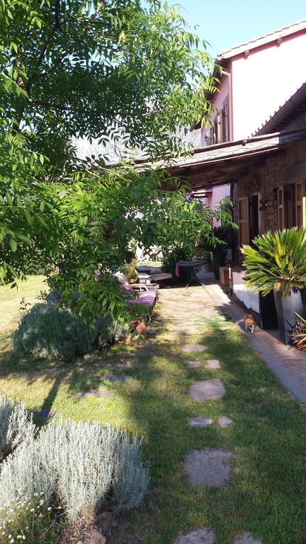 ויטרבו Il Casale Alle Farine מראה חיצוני תמונה